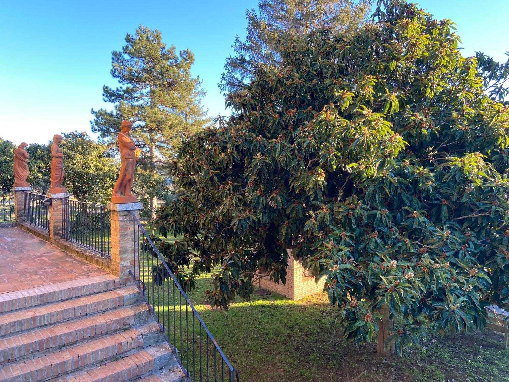 Casaletolfe Residence Siena Exterior photo